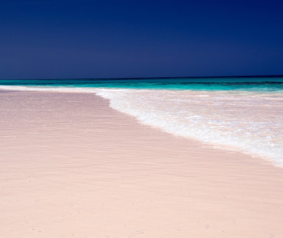 Escape the cold and discover Harbour Island’s pink sand beaches in the Bahamas. The pink hue comes from a microscopic organism that has a reddish-pink shell.

#HarbourIsland #Bahamas #beach #pinkbeach #cruiseplanners #terriclarkcruiseplanners #vacation #travel #holiday...