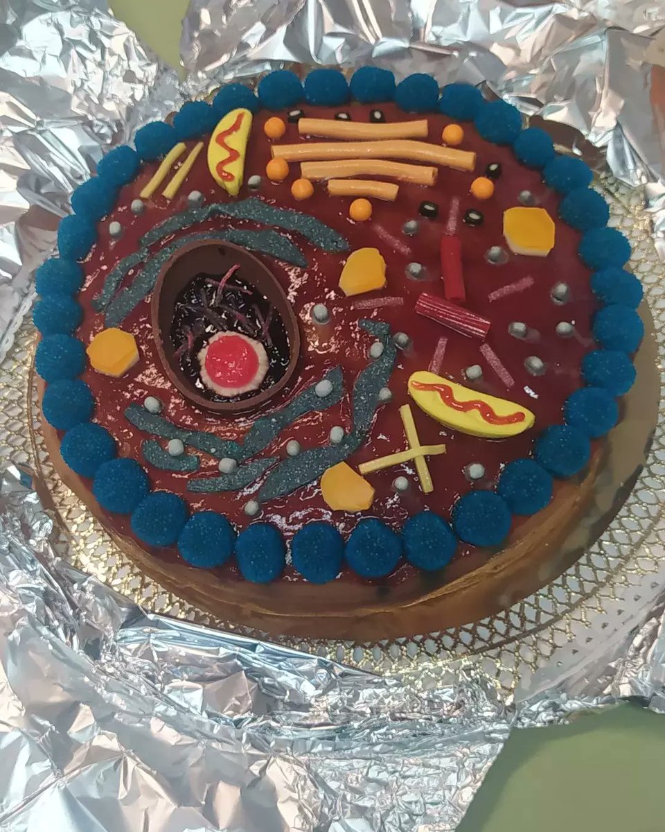 biologiayartes tweet media