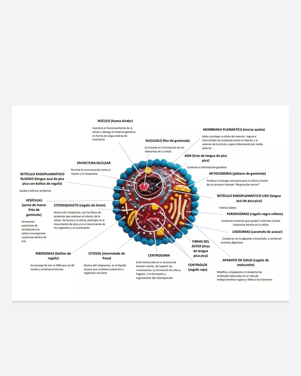 biologiayartes tweet media