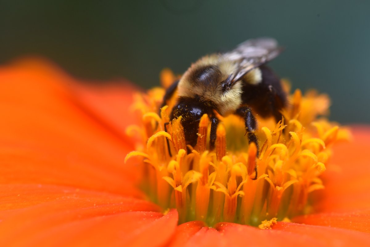 Doug Oster tweet media