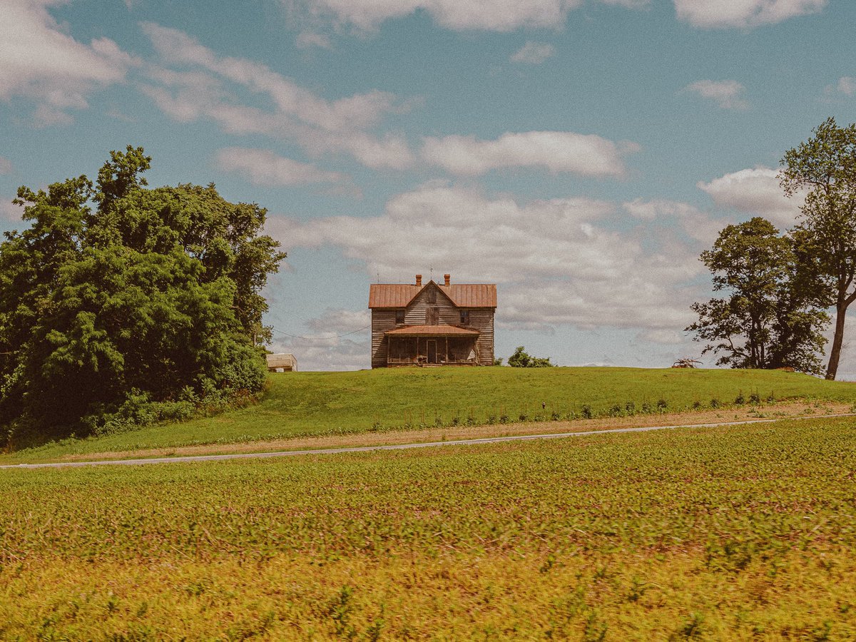 inthemeadow's tweet photo. missing summer https://t.co/X851BjZjol