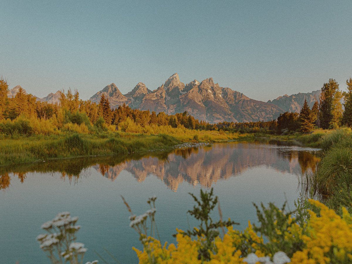 inthemeadow's tweet photo. missing summer https://t.co/X851BjZjol