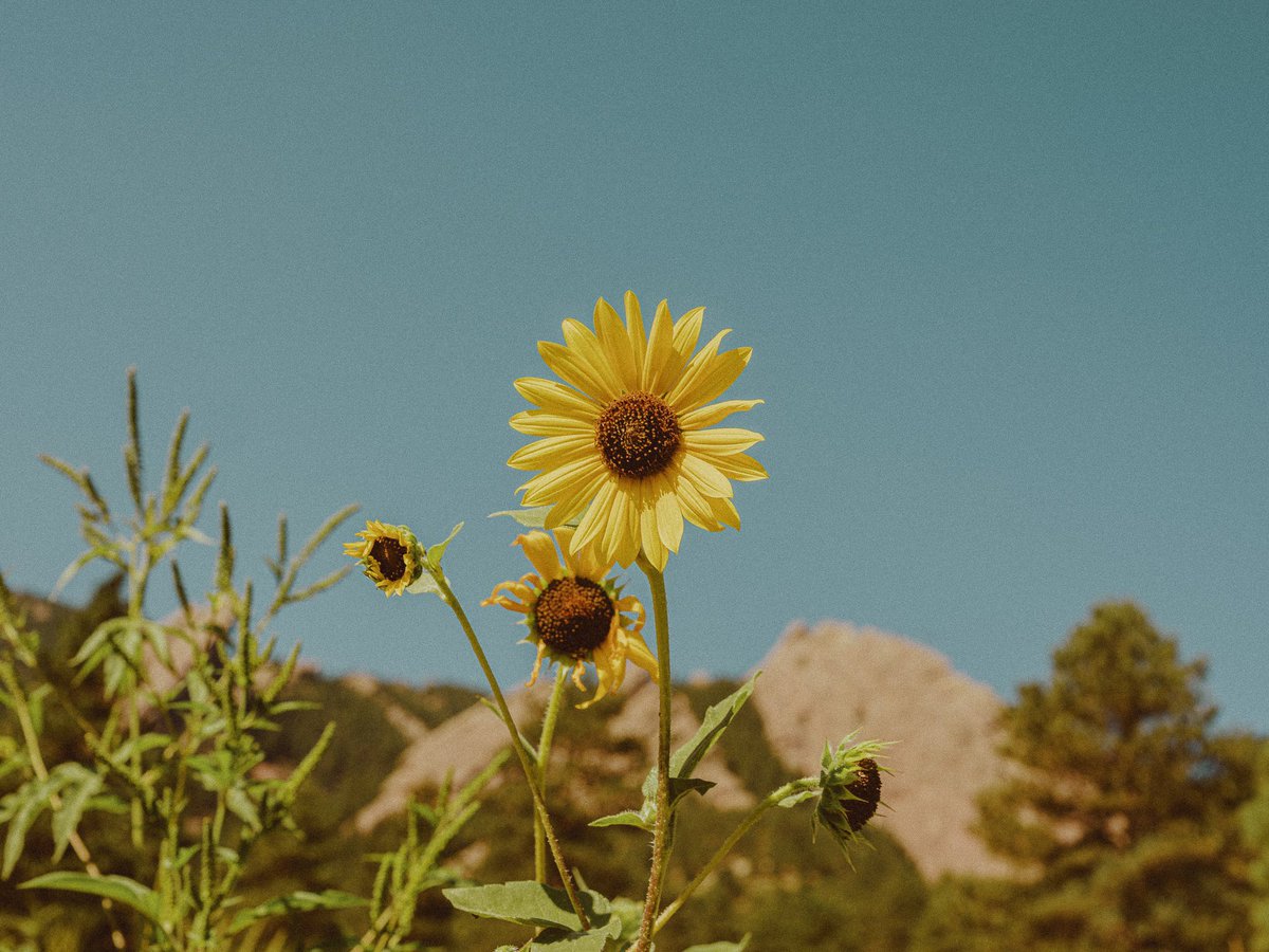 inthemeadow's tweet photo. missing summer https://t.co/X851BjZjol