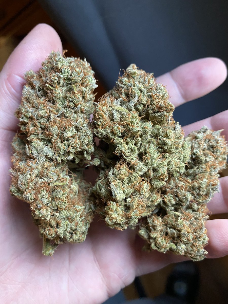 McNuggies 😵‍💫 <a href="/Fast_Buds/">Fast Buds</a>