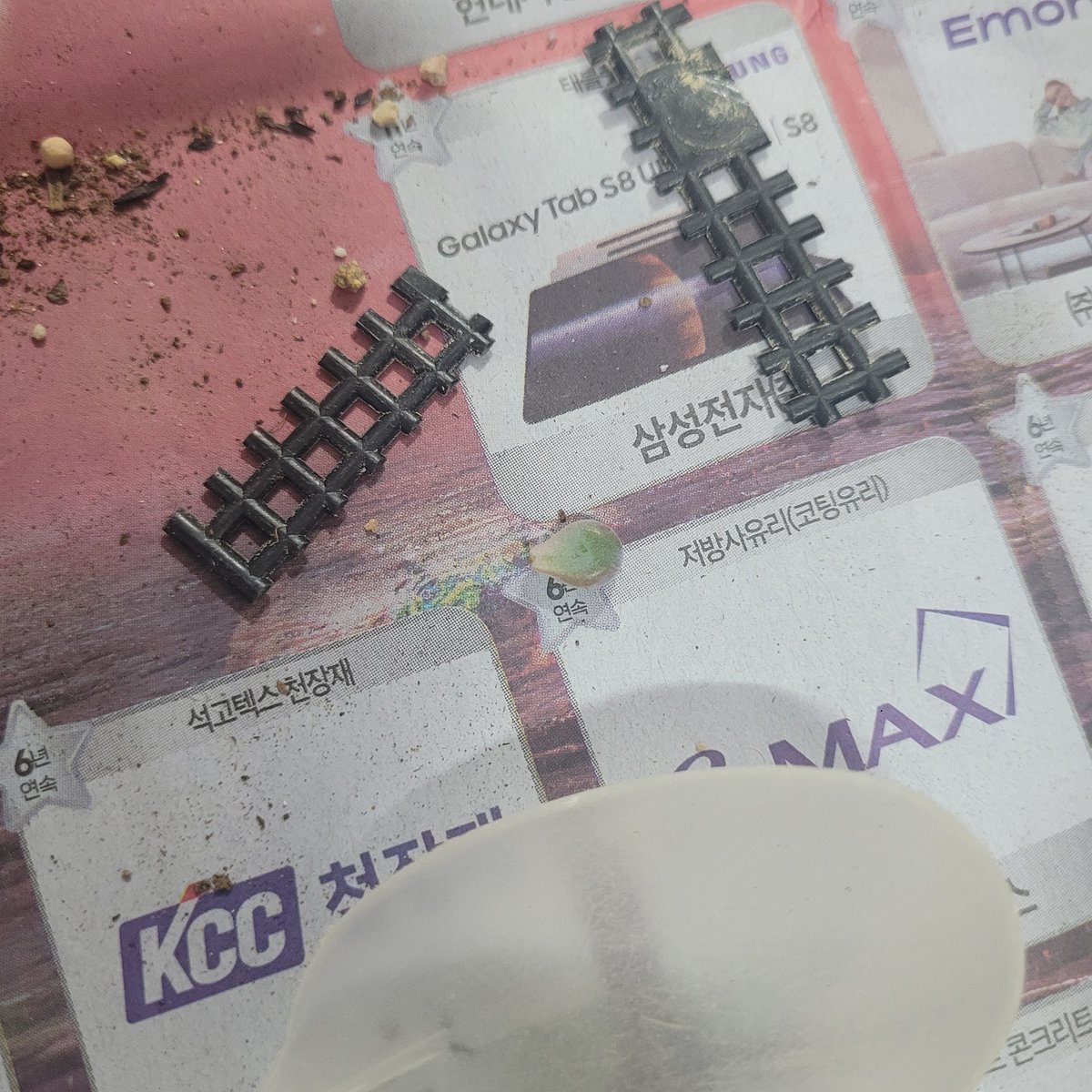 chalchal🌵 tweet media