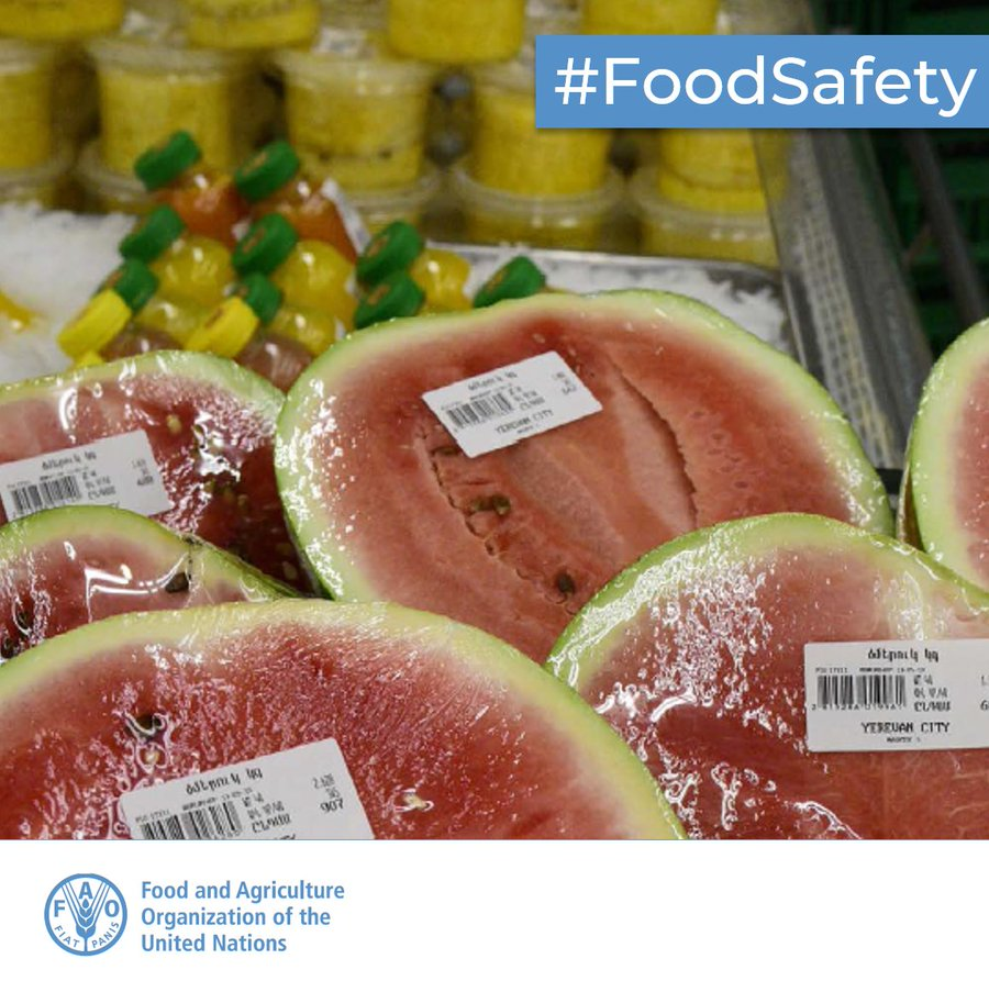 FAOWHOCodex's tweet photo. ⏮️ | #ICYMI | Does our food expose us to unsafe levels of microplastics❓

👉 A 🆕 @FAO  publication looks into this question.

➕ℹ️➡️ https://t.co/moT4NcxvaJ

#FoodSafety https://t.co/3wVCUbd8l2