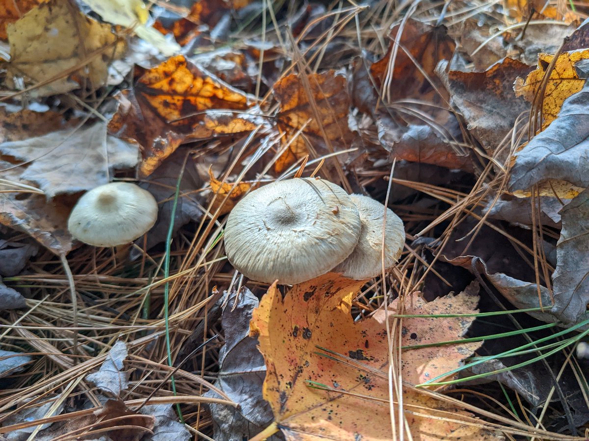 James Bowes (@jrbowes) on Twitter photo 