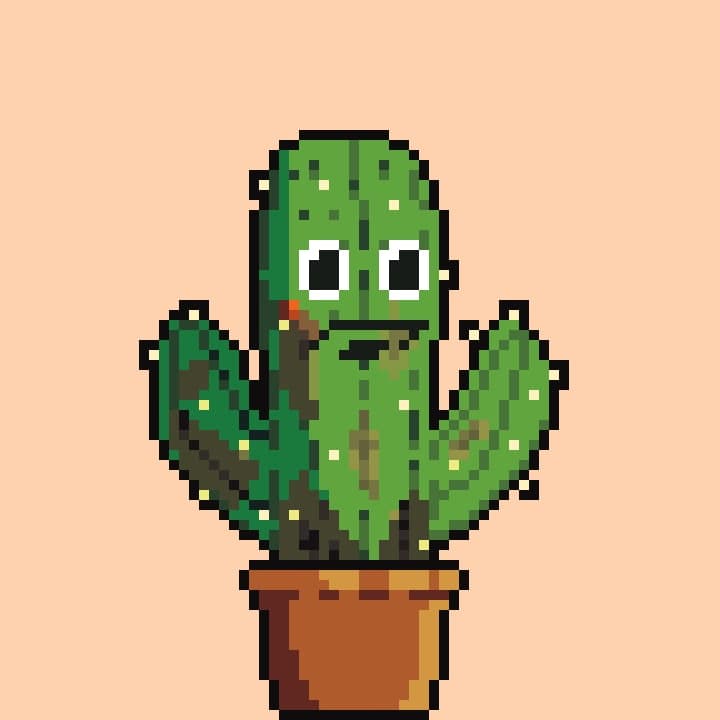 SolanaCactus tweet media