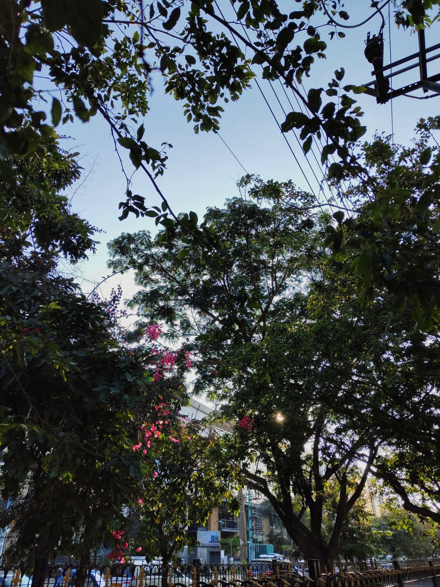 vashafii's tweet photo. Took some really nice shots with @nothing phone 1
#withnothing https://t.co/fYlBF1lmYY
