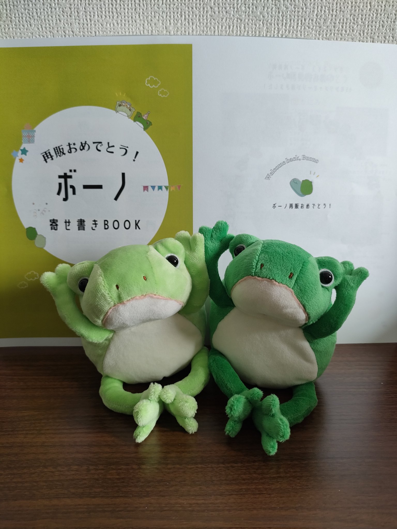 注目の 激レア！ボーノ「モンスイユ 」カエルのぬいぐるみ ひし型