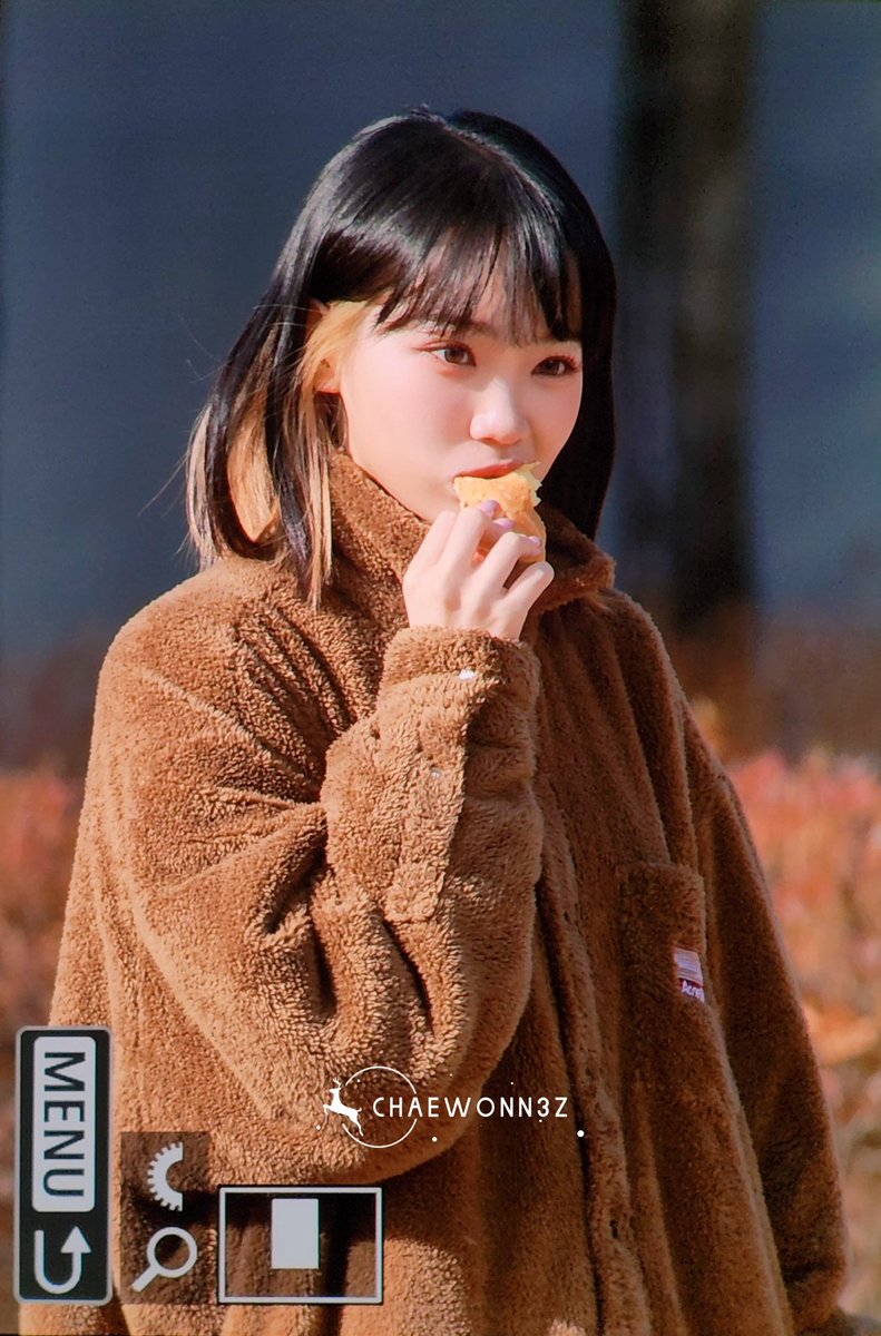 CHAEWONN3z tweet media
