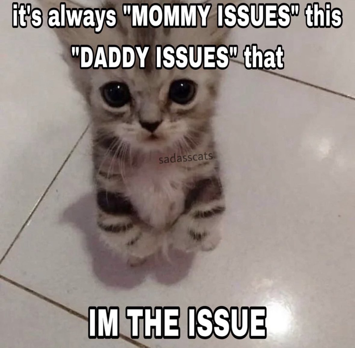 LiterallyMeCats (@literallymecats) on Twitter photo 