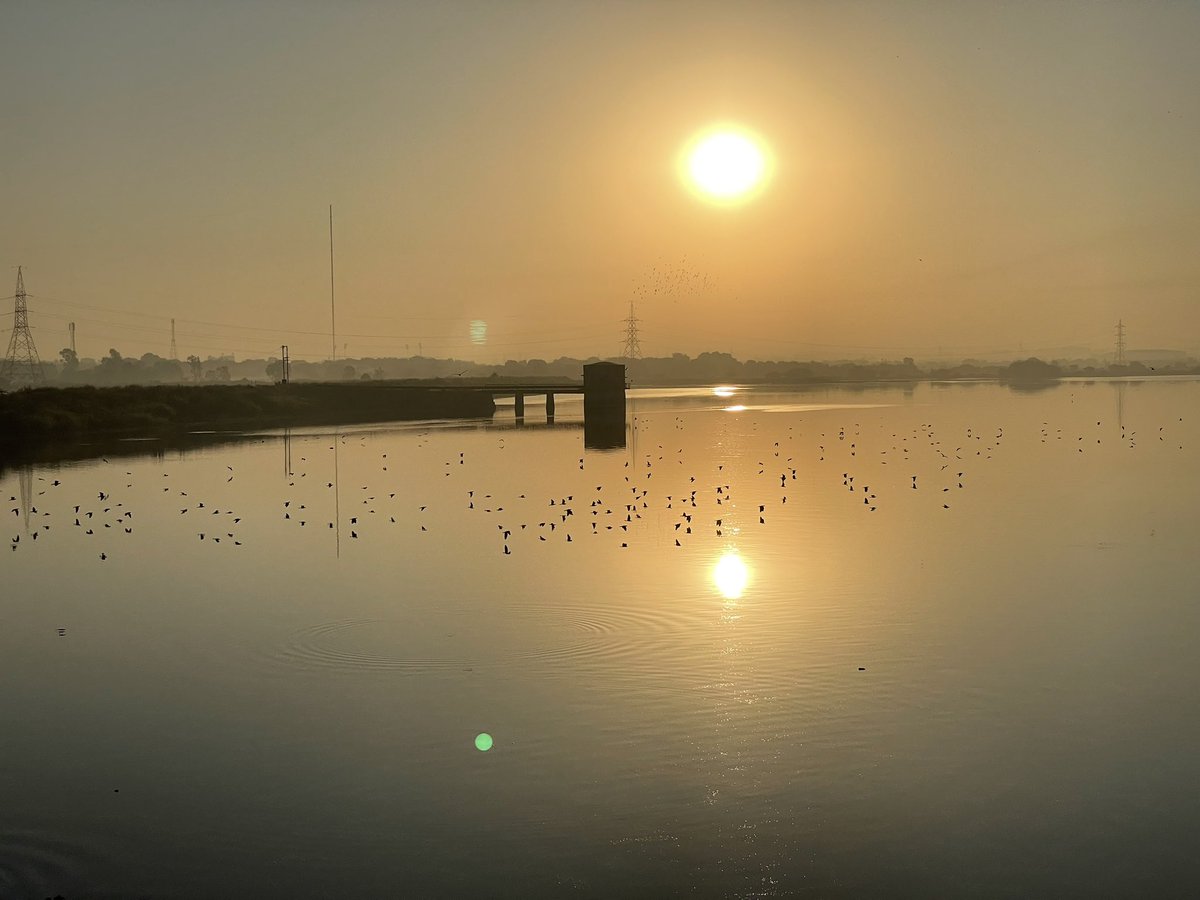 brijessh's tweet photo. Gm gm ✨
Sunday morning well spent in nature with friends and photography 📸🌞🦅
@Vimal72 @tapandsheth @niravbsnl
#sundayvibes #welcomewinters #NaturePhotography #naturelover https://t.co/J8ZUzzSoKs
