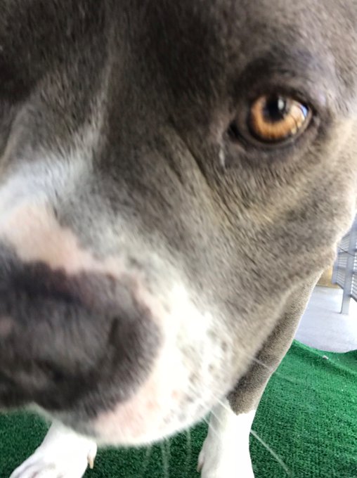 I miss my baby sooooo bad!!!! https://t.co/4QQGFmOHDN<a href="/tag/saturn"class="tags"><span>#saturn</span></a>