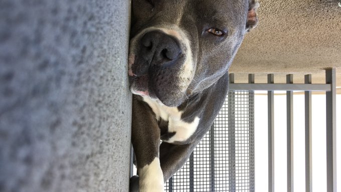 I miss my baby sooooo bad!!!! https://t.co/4QQGFmOHDN<a href="/tag/footfetish"class="tags"><span>#footfetish</span></a><a href="/tag/feet"class="tags"><span>#feet</span></a><a href="/tag/wrinkledsoles"class="tags"><span>#wrinkledsoles</span></a>