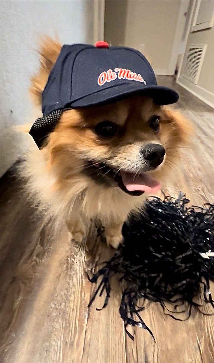 alpowers98's tweet photo. @Lane_Kiffin Decker says to tell Juice Hi and HOTTY TODDY ❤️💙 https://t.co/cYjTQm25Yv