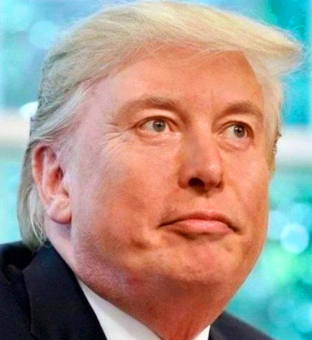 𝕃𝕖𝕕 ℤ𝕖𝕒𝕝𝕒𝕟𝕕 tweet media