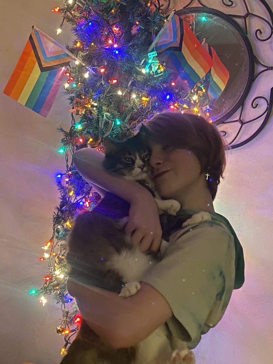 alicia_f's tweet photo. Yes that is a Christmas tree 🏳️‍🌈 https://t.co/wUseITkt0a