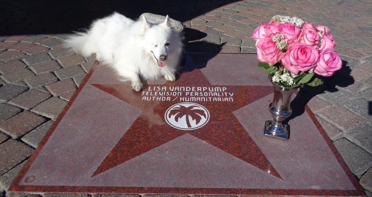 OneEyedFlurry's tweet photo. @PumpRestaurant @LisaVanderpump OMGosh, those #pink roses remind me of the floral arrangement we placed at #LisaVanderpump's #STAR on the @PalmSpringsCA #WalkOfStars at 155 South Palm Canyon Drive after lunch at #PUMP.
SO MUCH FUN!
<3
#PUMPRestaurant
#PalmSprings
#LisaVanderpump
#RHOBH
https://t.co/rpuZUuCyxF https://t.co/Mde6CMaMJN