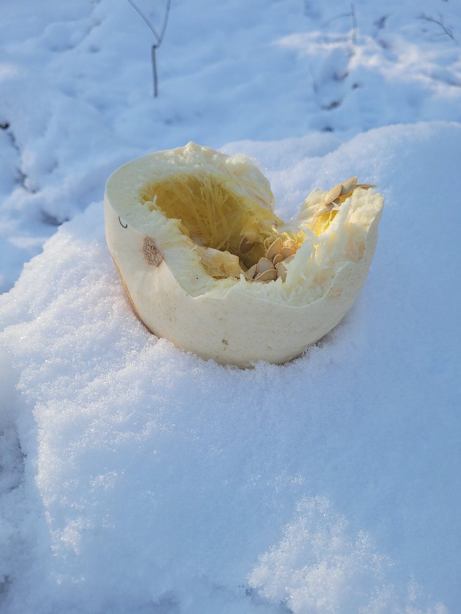 Mme Craig tweet media