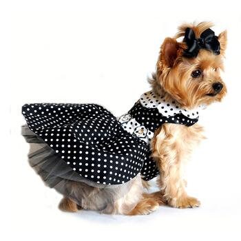 Go_Doggie_Style's tweet photo. Thanks for the kind words! ★★★★★ "I love this shop! I've never found nicer dog clothes anywhere other than here. I can't wait to buy more! This is fabulous." Mirabelle https://t.co/6DkF4AokRs #etsy #black #white #dogapparel #dogcostumedress #dogdress #dogdressharness # https://t.co/lk0DZdR70p