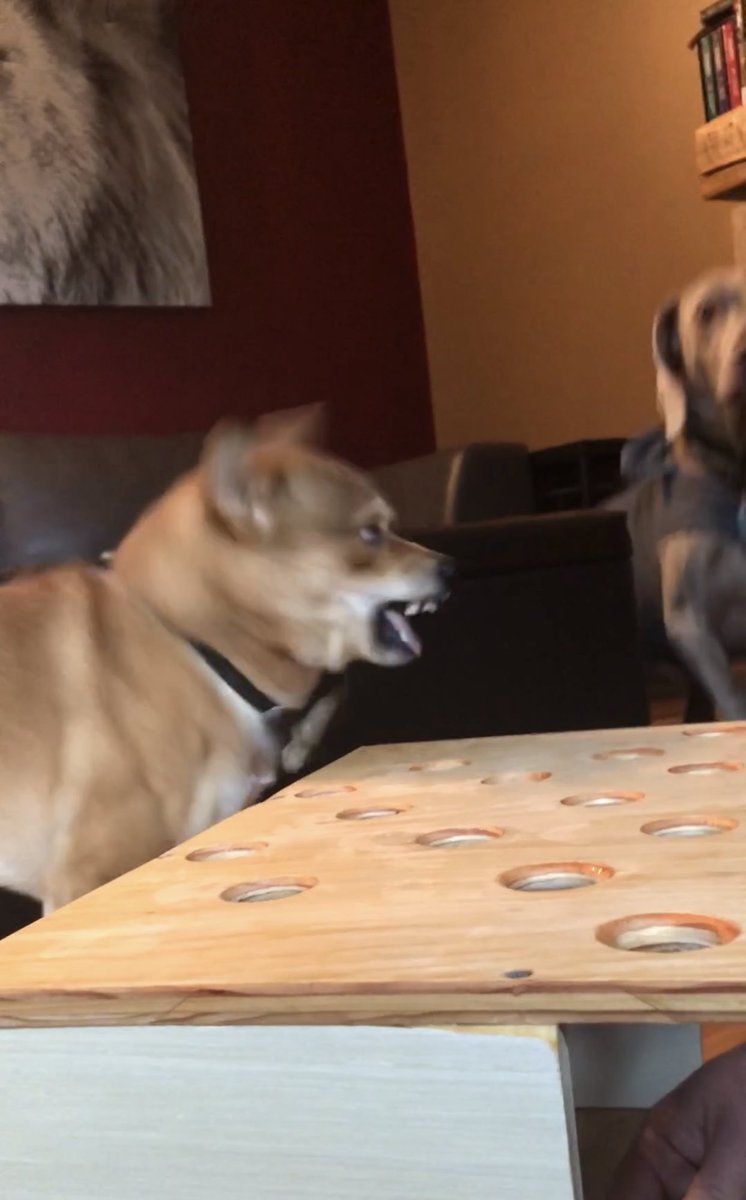 HunterDesignCo1's tweet image. Well looks like now is a good time to leave Twitter #riptwitter