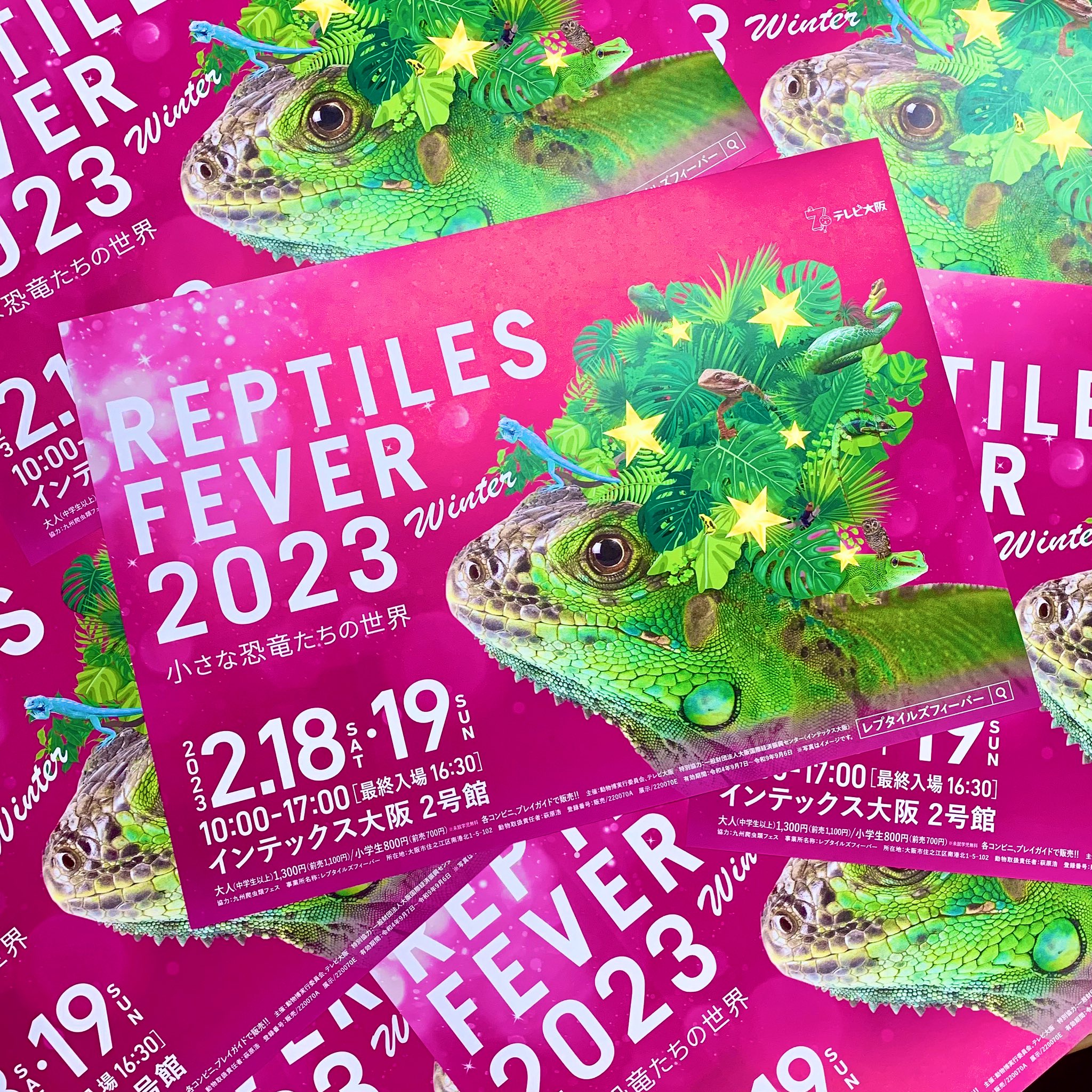レプタイルズフィーバー Tvo Reptiles Twitter