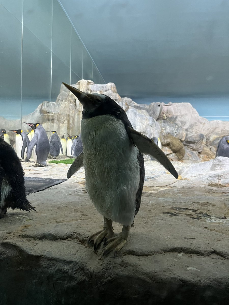 Reminder to touch some grass and find some tranquility!
Because next week is gona be wild with <a href="/nguyenhut_art/">Nguyen Nhut</a> 3D IF launch!
🔵🔴🫥 

Happy Sunday everyone!