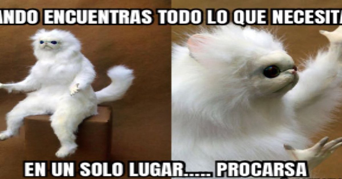 PROCARSA (@procarsamx) on Twitter photo 