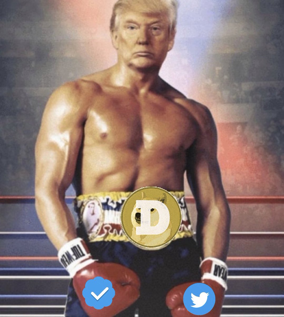 <a href="/TrungTPhan/">Trung Phan</a> <a href="/elonmusk/">Elon Musk</a>