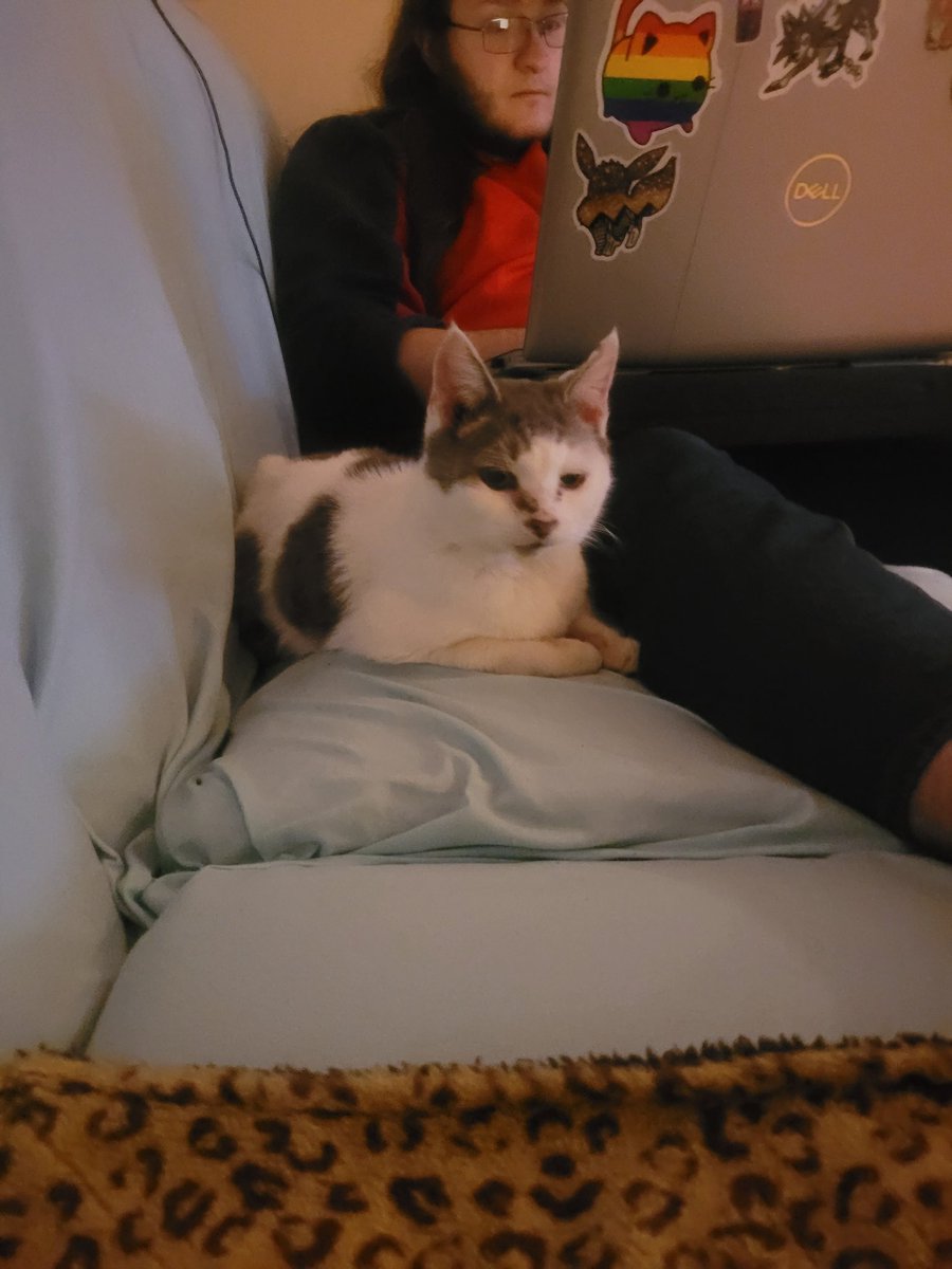 lynnslagle42's tweet photo. MiMi....thats the tweet
#seniorsarethebest #stopdumpingyourpets #beresponsible #seniormimi #lovebug #purrmachine #sosweetshescandy #whowoulddumpher #mimination #somuchloveyogive https://t.co/q7kqw4e7EX