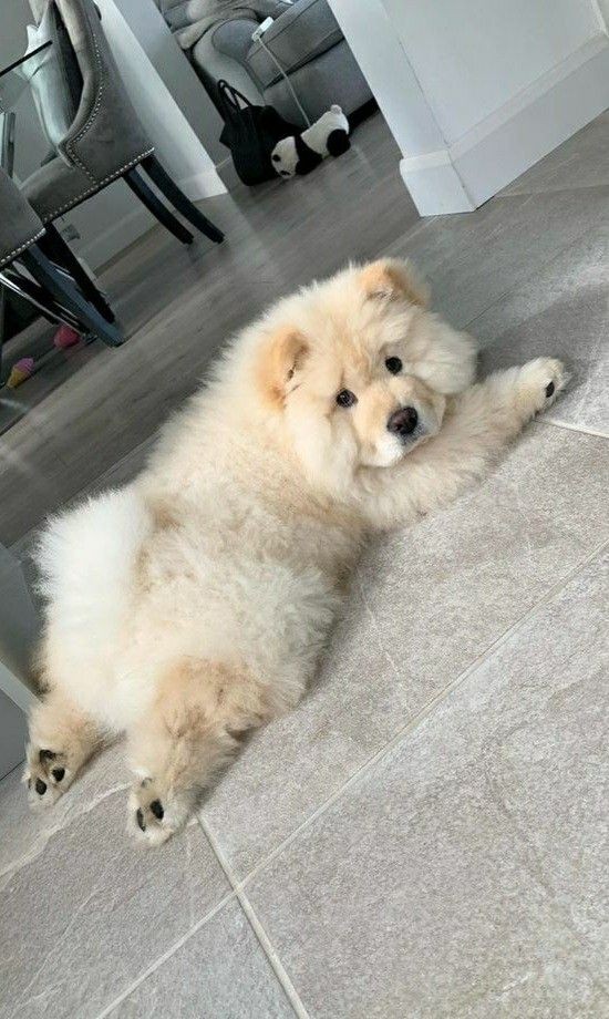 ͏͏͏͏͏͏              
͏͏͏͏͏͏     
͏͏͏͏͏͏            weekend, with my loveys ♡
͏͏͏͏͏͏
͏͏͏͏͏͏