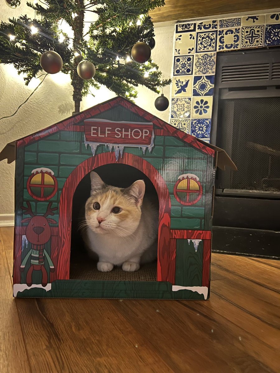 fatfatpankocat's tweet photo. She’s working on the weekend https://t.co/n4AbWubZ7w