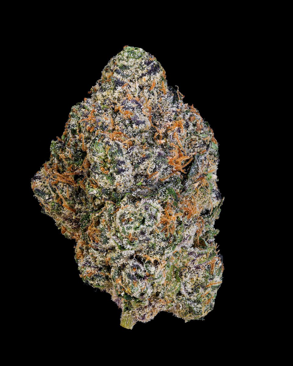 cookiesglobal's tweet photo. { Madison Square Gumbo } Sweet and sugary mixed berry cocktail flavor 💨💨💨 @Gumbo11flytrap https://t.co/r476zimYFO