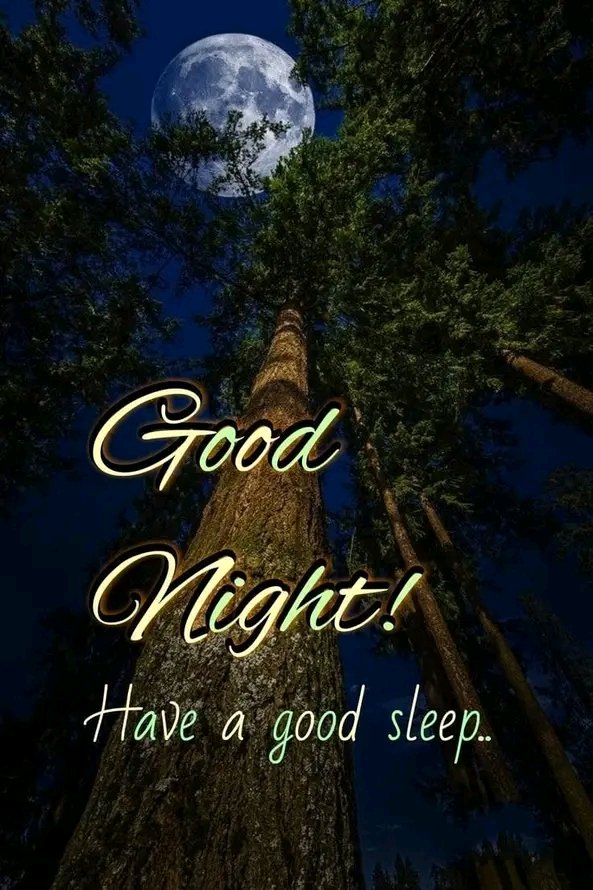 6Metal6Hell6's tweet photo. 🌜Good 🔥#WarmRockingSaturday🎸 Night To All My🖤#WickedGorgeous❤️ Followers And Tweeters Hope All Had A #KickassDay Have A #Wonderful
🌕Night🌕 #SleepTight #SweetDreams All Stay Safe https://t.co/HykfKKast2
