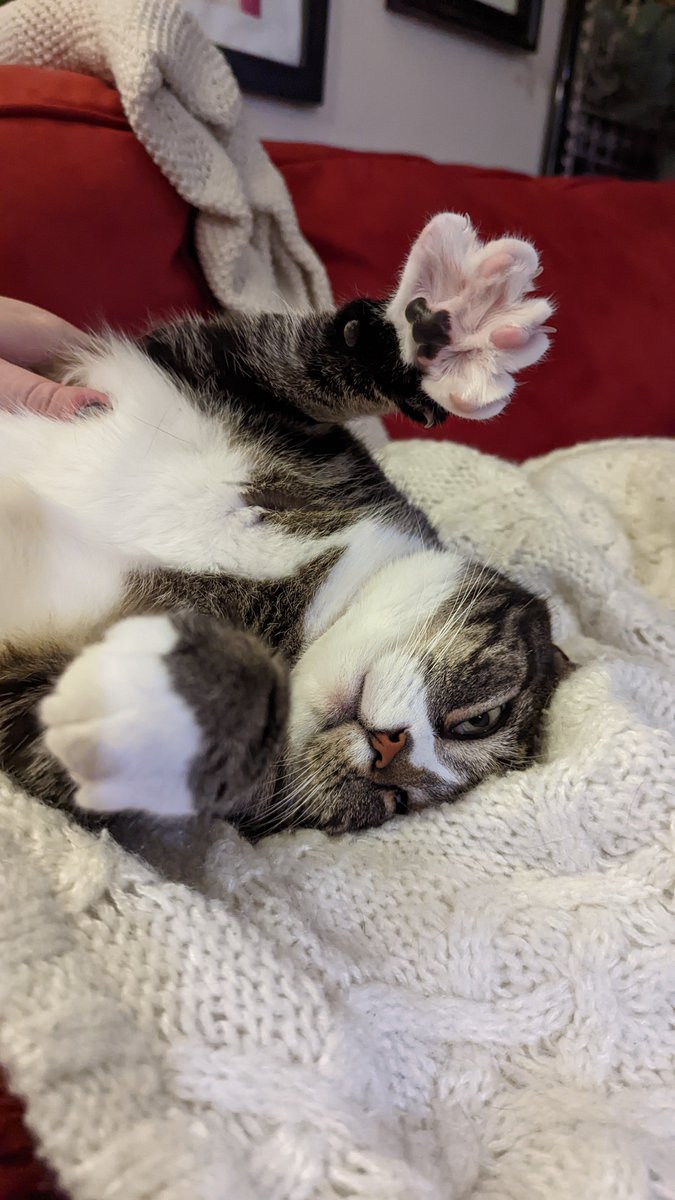 I had a wonderful time at #ASC2022 and now it's great to be back with these two 🥲