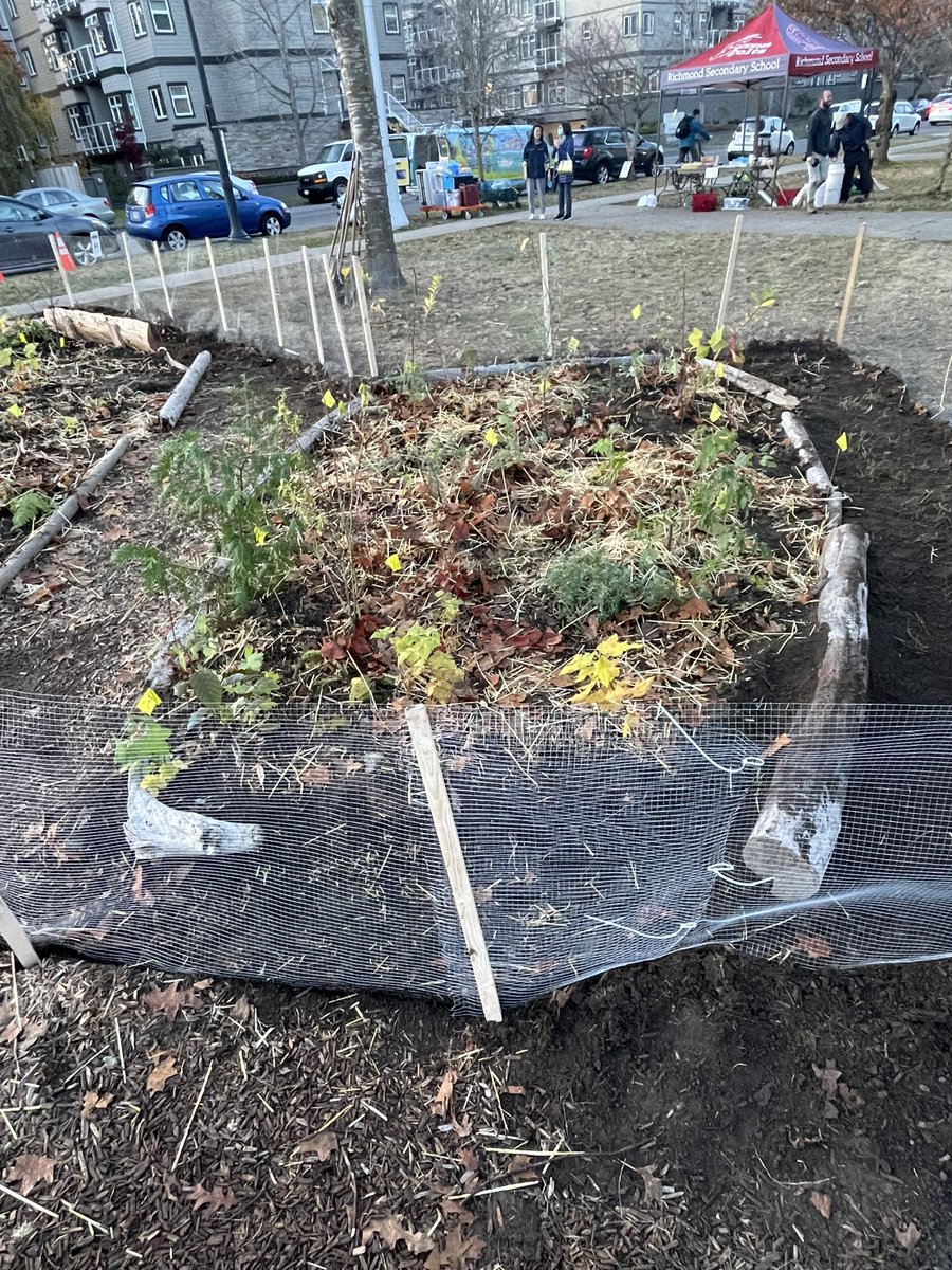 RichmondColts's tweet photo. Here’s what the beginning of our #MiyawakiPocketForest looks like with over 300 plants, bushes and trees planted today. Follow the growth of our forest at https://t.co/lW008EBN76
#Maynotlooklikemuch 
#WaitandSee 
#OutdoorLearningEnvironment
#Community https://t.co/AlXDUNWyfC