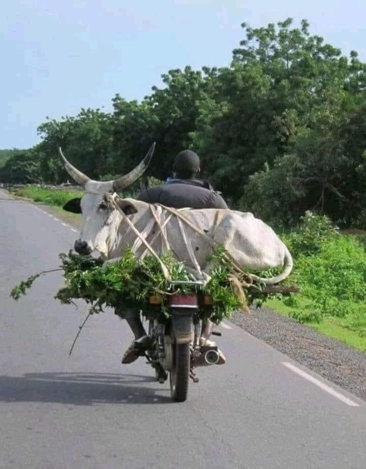 deeghosh's tweet photo. আসান সোল থেকে দ���ল্লীর পথে 😀😀 https://t.co/bWrOQXon8m