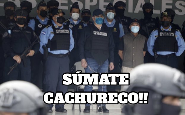 1203Barba's tweet image. No justifique