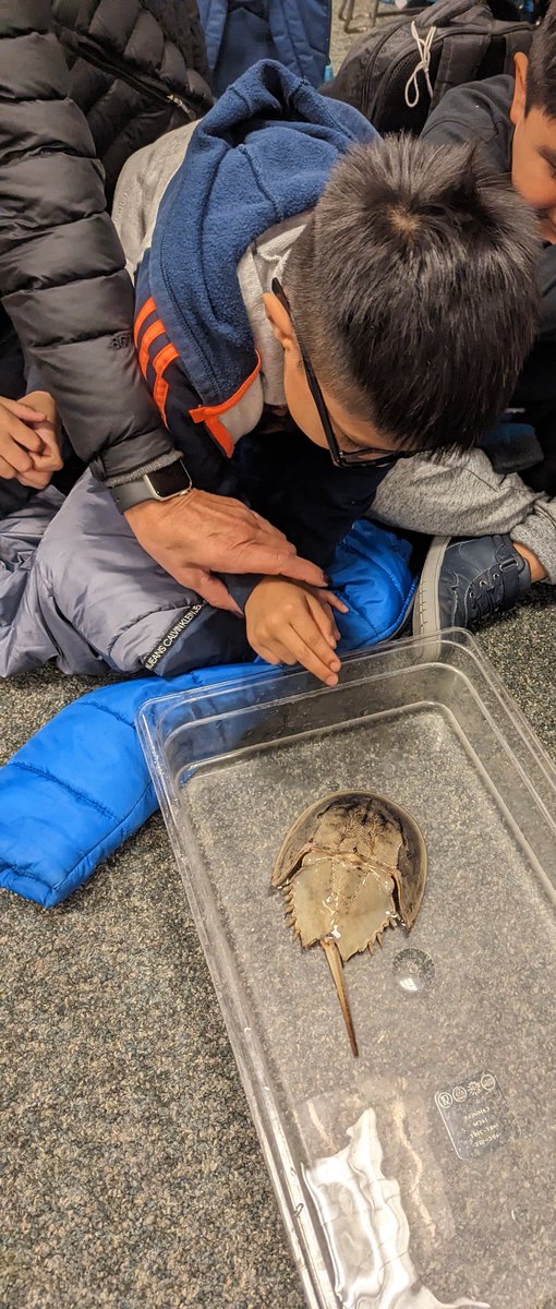 Jennifer B tweet media