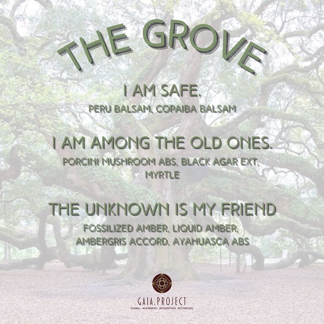 DaughtersofIsis's tweet image. Perfume With Purpose - Close To Home / The Grove.  Aromatic meditation with Gaia. daughtersofisis.com/cltohopewipu.h…