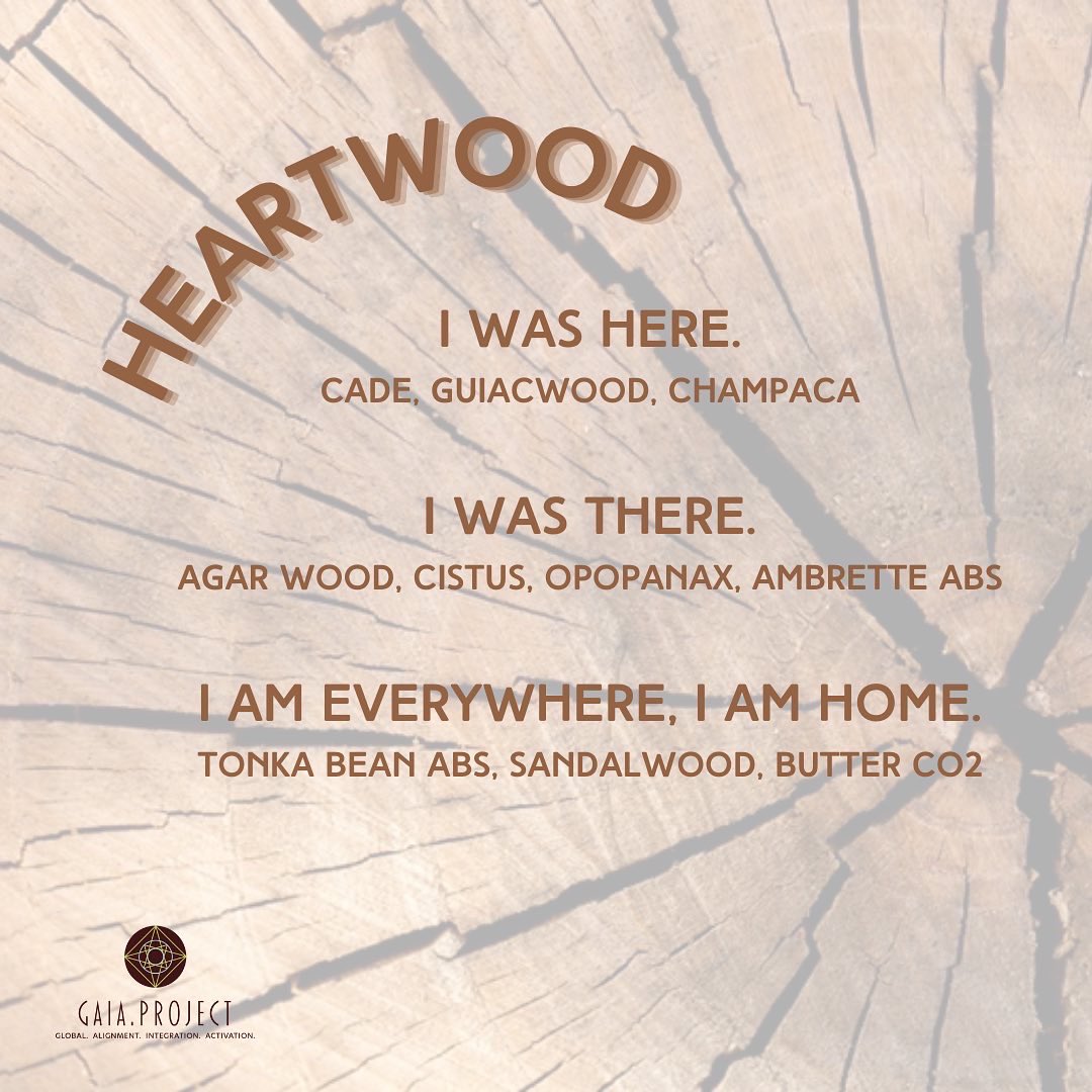 DaughtersofIsis's tweet image. Perfume With Purpose - Close To Home. Aromatic Meditations.  daughtersofisis.com/cltohopewipu.h…