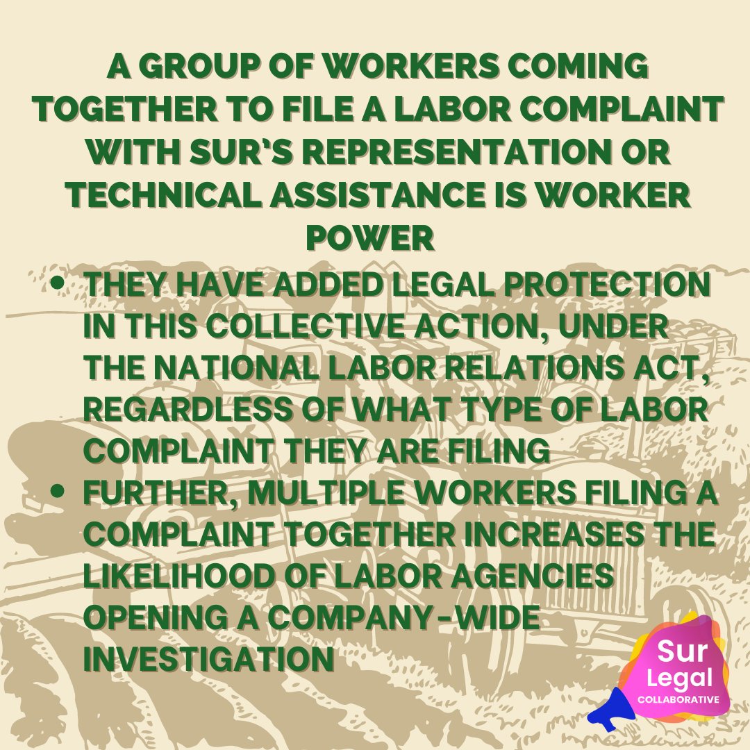 SurLegal_ATL's tweet photo. Why does building inclusive #workerpower matter? It matters because these individual and collective actions, over time, lead the #workerjusticemovement towards its goals of #workauthorization, a safe and #healthyworkplace, and a #livablewage for all.

#GAgives #GivingTuesday https://t.co/0G0VaU4zdc