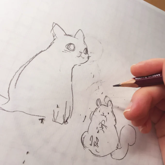 猫って描けるようになりたいけど難しいんだよなあ〜…もっともふもふ動物の本買おうかなあーしりょう…子猫のほん…あーあかん、寒い!そして眠い!!今日早朝覚醒で寝るの早々諦めてポケモンやった自分が悪いんですけどー笑笑 