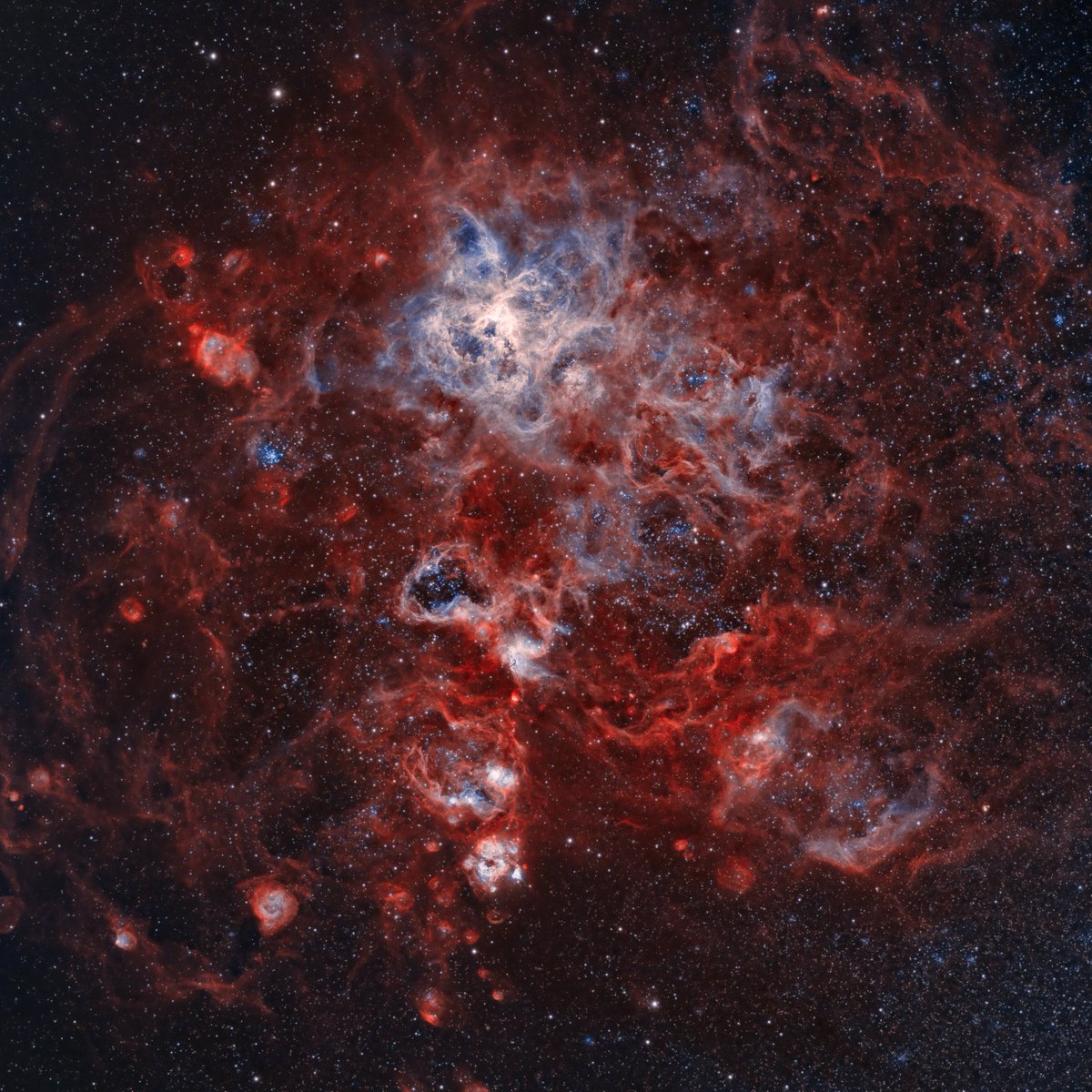 CosmosAstroArt.eth 🌖🔭📷 tweet media
