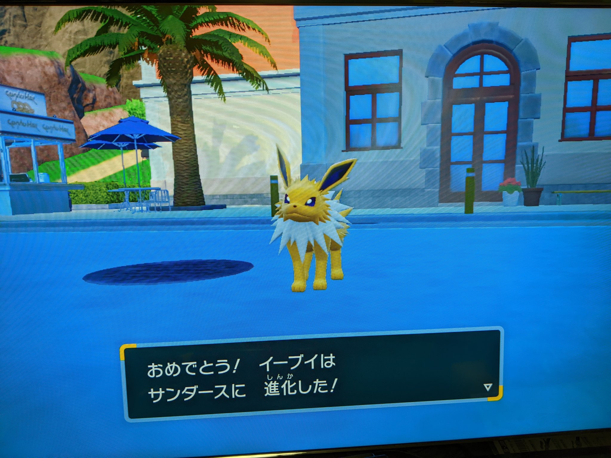 イーブイ進化 Twitter Search Twitter