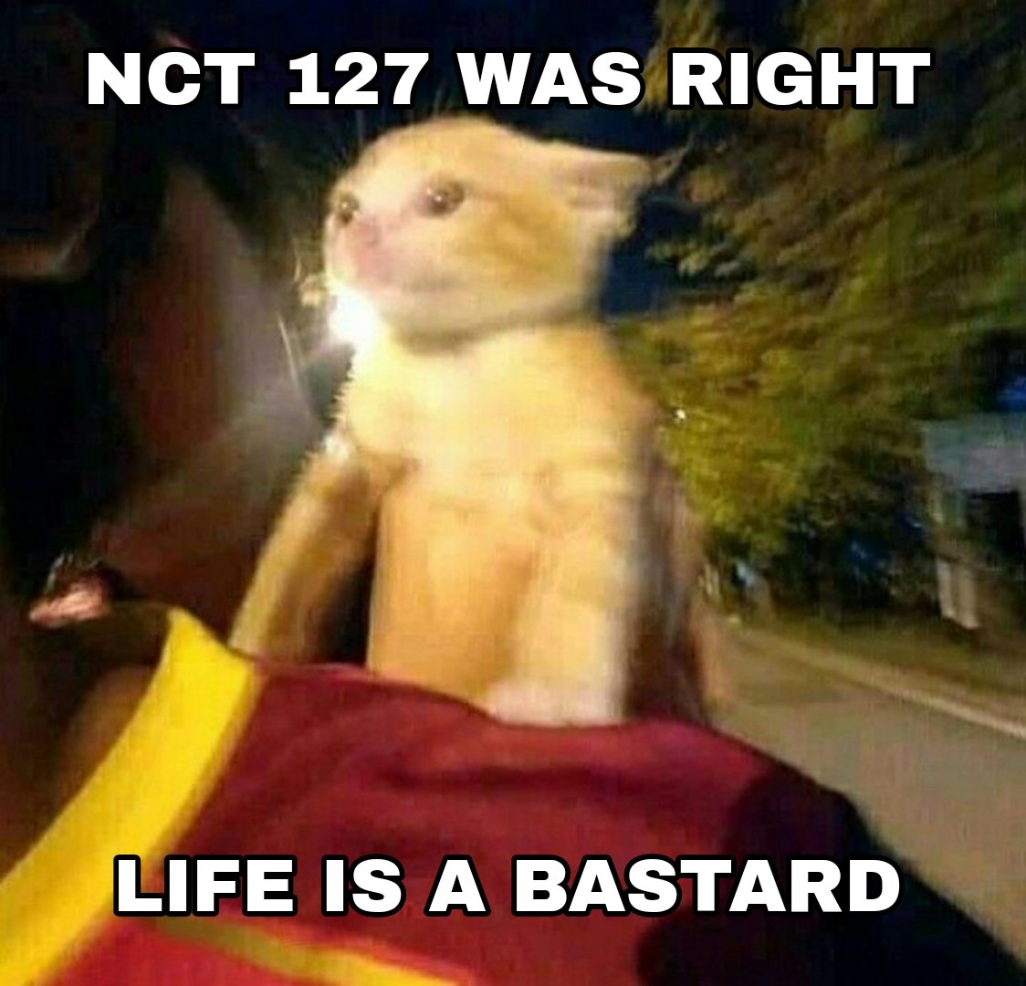 starfess's tweet image. -idol bagi meme was right was wrong kpop ver dong