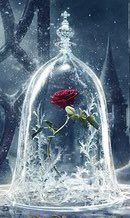 The spring musical is…