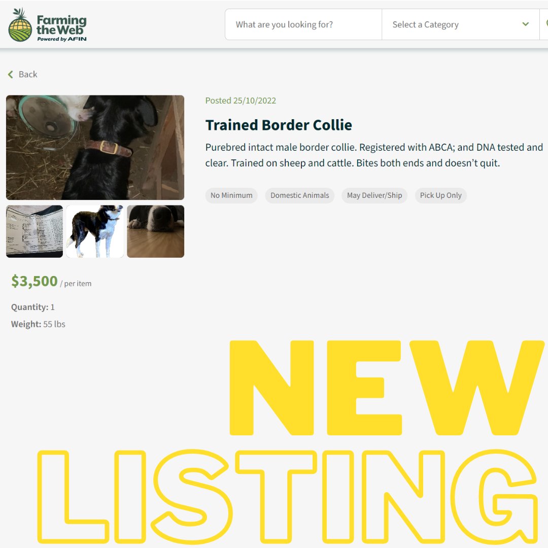 Farming The Web tweet media