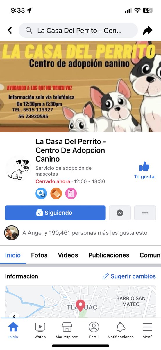 Roberto_colinc's tweet photo. Quiero evidenciar en esa asociación y tengan cuidado si tratan de adoptar con ellos debido a que te dan a los perritos en malas condiciones. https://t.co/iZdNveV6ym